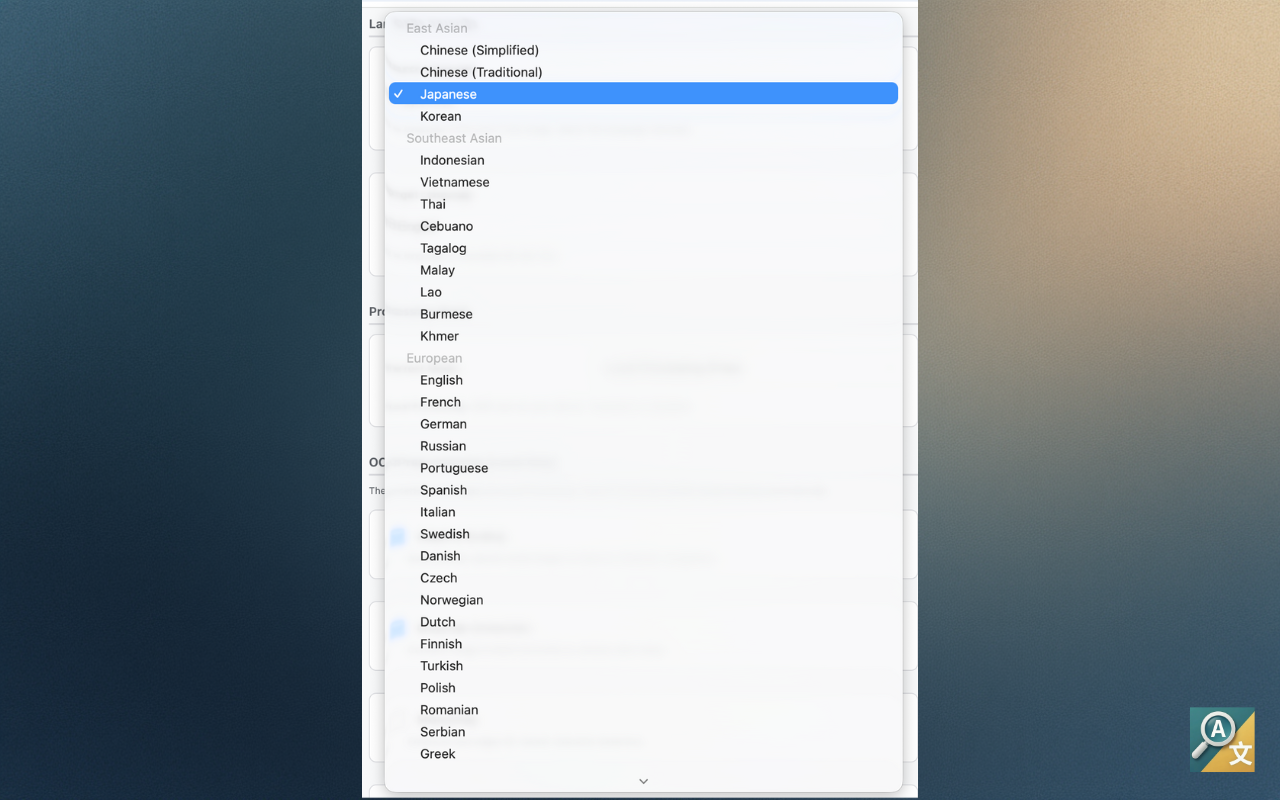 Language settings in extension options